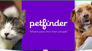 Petfinder is the largest online pet adoption site This time Petfinder launched the pet [upl. by Ahsai621]