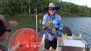 Daintree River First Day [upl. by Auqinom]