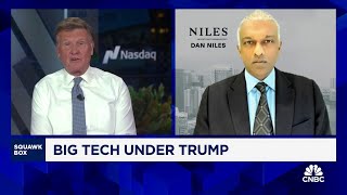 Dan Niles An equalweighted basket of stocks makes the most sense under a second Trump term [upl. by Capello]