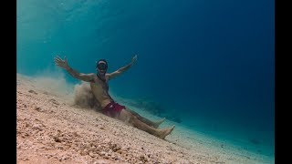 Freediving How to Fix Sinus Problems  Freediving with Blocked Sinuses  Freediving with a Cold [upl. by Atnes963]