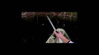 Have you EVER caught a bass like THISbassfishing youtubeshorts fishingvideo fish trending [upl. by Helgeson459]