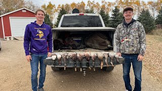 MINNESOTA 2 MAN DUCK LIMIT  BIG GREENHEADS [upl. by Bratton971]