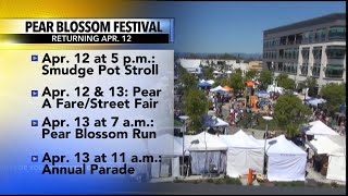 Pear Blossom Festival returning this week [upl. by Ney]