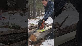 Small Chainsaw Milling with just 50cc [upl. by Dorca315]