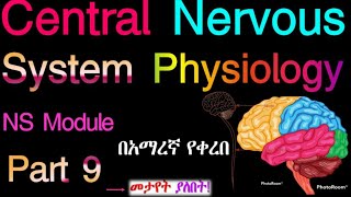 Central Nervous System Physiology NS Module Part 9 Based on the new Ethiopian Curriculum 💓 [upl. by Bergmann]