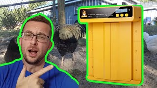 Automatic Chicken Coop Door  The ChickCozy Door Review [upl. by Millie]