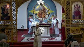 Saint Maurice Coptic Orthodox Church Live Broadcast  Channel 2 [upl. by Adehsor626]