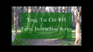 9393 Yang Tai Chi 108 Form Moves 105108 Yang Taijiquan Taiji [upl. by Fesoj]