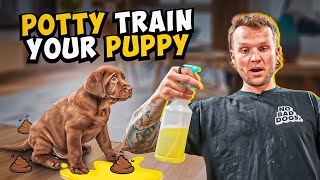 Puppy Training  How To Potty Train A PUPPY In 5 Minutes [upl. by Heid]