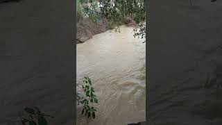 barish Barsat ki dhun [upl. by Aleka]