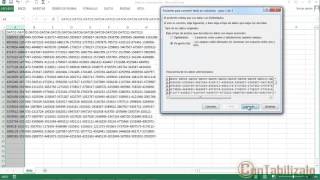 Separar Textos En Distintas Columnas de Excel [upl. by Cesar]