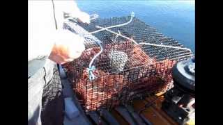 Prawn Fishing Saanich Inlet [upl. by Ejrog]