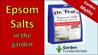 Epsom Salt Myths  learn the truth about using it in the garden new research [upl. by Malka77]