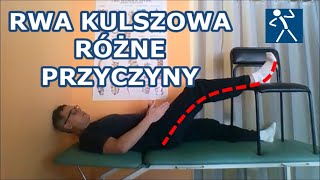 Jakie są przyczyny rwy kulszowej Co może uciskać nerw kulszowy Przyczyny objawy i terapia I 🇵🇱 🇪🇺 [upl. by Adnawt]