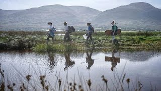 Could Europes coastal wetlands address our climate change concerns [upl. by Birdie]