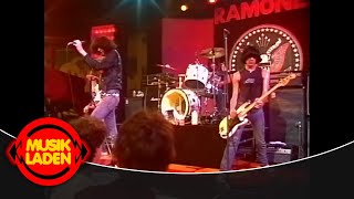 Ramones  Needles And Pins 1978  LIVE [upl. by Juline]