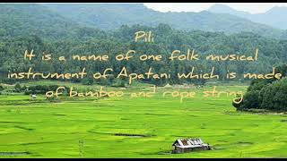 Apatani song  Pili Pili  Ziro [upl. by Roosevelt945]