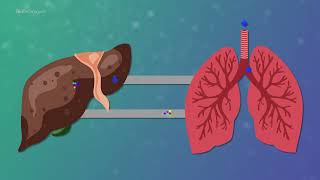 What is organonachip technology [upl. by Noswal]