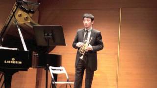 Neruda  Trumpet Concerto in E flat 1st mov HD [upl. by Felita990]