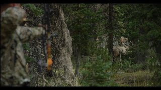 Wyoming Elk Hunt Day 2  The quotLinguistsquot Rough Cuts [upl. by Gertrud247]