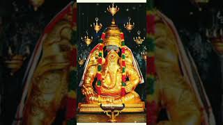 Pillaiyar godsongs tamilpillayar vinayagar whatsappstatus statusvideo ganapatiganesh shorts [upl. by Adnotal499]