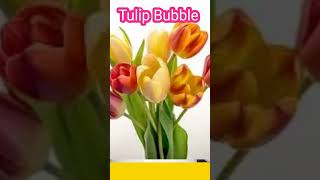 Tulip Bubble  finance financialfreedom tips motivation [upl. by Lettie]