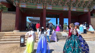 한복 미인이 가득한 경복궁 여행 Tour the beautiful Gyeongbokgung Palace  4K Seoul [upl. by Jeffcott]