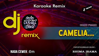 KARAOKE DJ CAMELIA REMIX  NADA Wanita  SLOW FULL BASS REMIX VIRAL TIKTOK [upl. by Imailiv958]