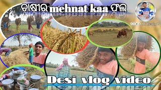 ଚାଷୀ ର mehnat ka ଫଲ ll chasi ghar kete kam ll Sambalpuri village vlog ll bgcreation133 villagevlog [upl. by Behnken]