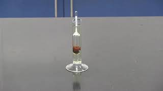 Urinalysis How to use the Hydrometer [upl. by Av]