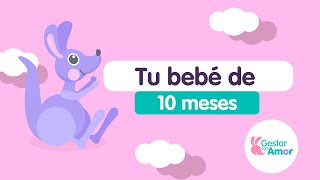 Los 10 meses del bebé [upl. by Ku]