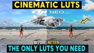 DJI NEO Cinematic LUTS  COLOUR GRADE IN SECONDS [upl. by Dredi359]