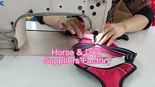 Horse amp Dog Suppliers Factory flymasks PetLeashes PetCollars [upl. by Katzen]