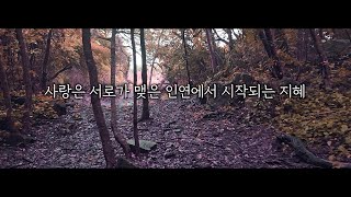 사랑은 서로가 맺은 인연에서 시작되는 지혜 [upl. by Ewan]