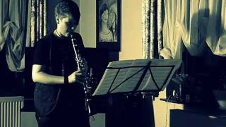 Rolling in the Deep  Adele clarinet Cover [upl. by Arabel]