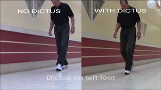 Dictus Original2 [upl. by Frayda]