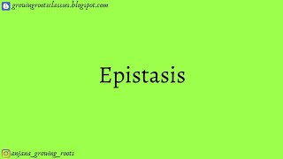 Epistasis  Malayalam  Dominant Epistasis  Recessive Epistasis  Genetics 6th Semester [upl. by Landrum304]