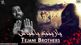 24 Safar Noha Bibi Zainab  Ya Zainab Ya Abbas as  Tejani Brothers Noha 2017  Nohay 2017  1439H [upl. by Notlehs]