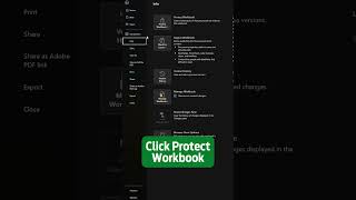 Workbook Protection excel exceltips excelskills excelhack learnexcel excelforbeginners [upl. by Byrne]