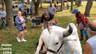 Hardy Homesteaders Day Hardy AR USASatisfying Natural Sounds quotPhilAm Country Livingquot [upl. by Edialeda]