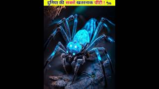 दुनिया की सबसे खतरनाक चींटी🐜paraponera clavata ants antiaging anthill biggest [upl. by Linzer]