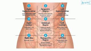 umbilical region [upl. by Ehlke]