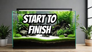 How To Aquascape The Full Planting Process [upl. by Gnim320]