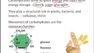 Unit Review Chemistry of Life [upl. by Ellehsim960]