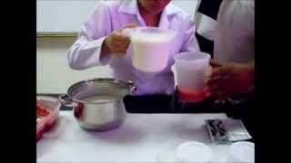 Elaboracion de Yogurt Artesanal [upl. by Rexfourd]