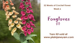 Foxglove 1 Flower of Week 6 [upl. by Aivek409]