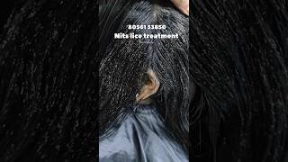 Nits lice treatment 💯result just 2 hrs Chennailiceremovallicetreatmentlicenitsheadlicenitslice [upl. by Armington]