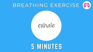 Breathing Exercises To Stop A Panic Attack Now  TAKE A DEEP BREATH [upl. by Kieryt]