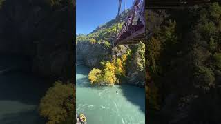 kawarau bridge bungy would you jump bungy newzealand queenstown bungee bungeejumping [upl. by Refanej751]