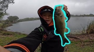 Fishing in San Jose pressured lake in pouring rain [upl. by Yhpos]